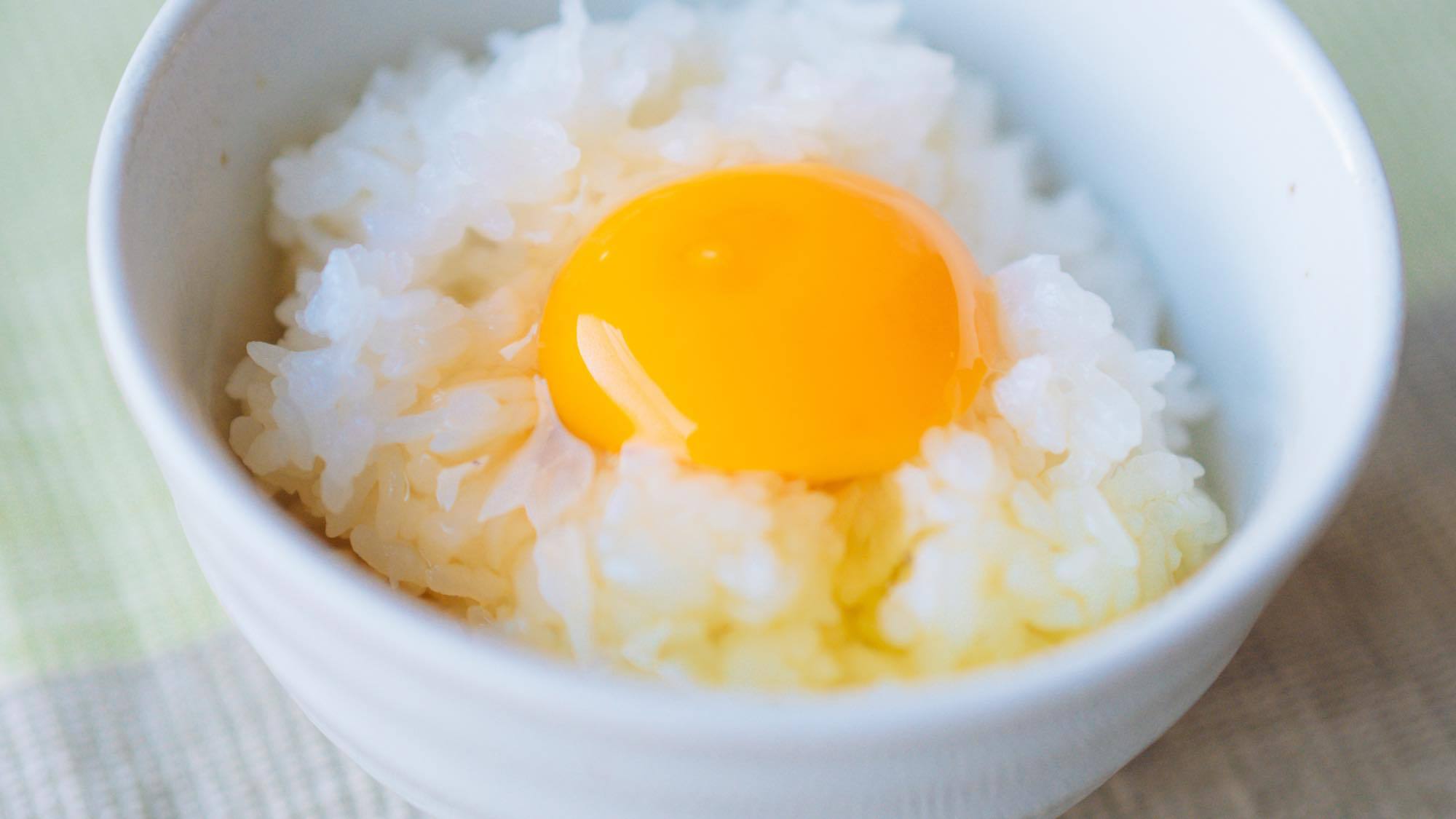 【朝食メニュー】卵かけご飯
