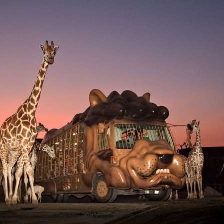 九州自然動物公園「アフリカンサファリ」は、車で40分