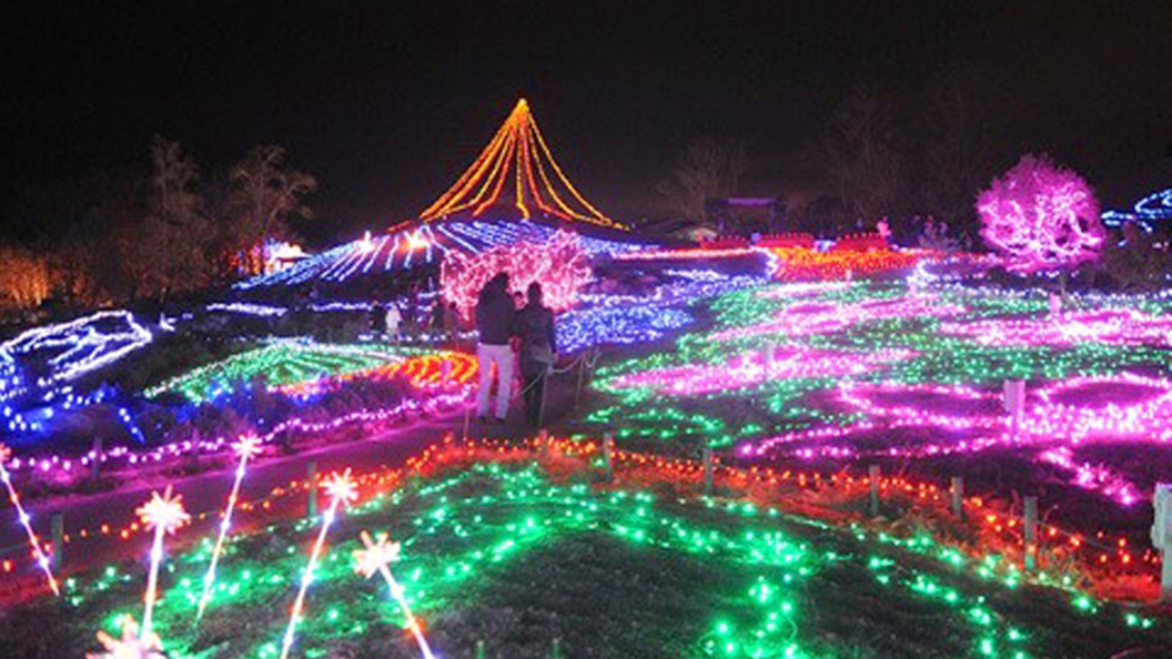 *【まんのう公園イルミネーション】きらめく50万球のひかり