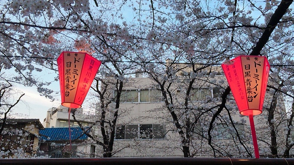 目黒川桜シーズンの風景