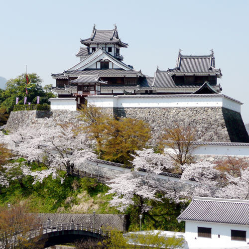 福知山城（春）