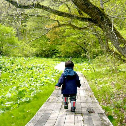 This photo about Ryokan Ebisuya (Hyogo) shared on HyHotel.com