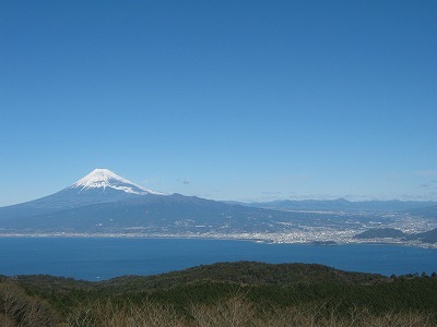 達磨山からの富士