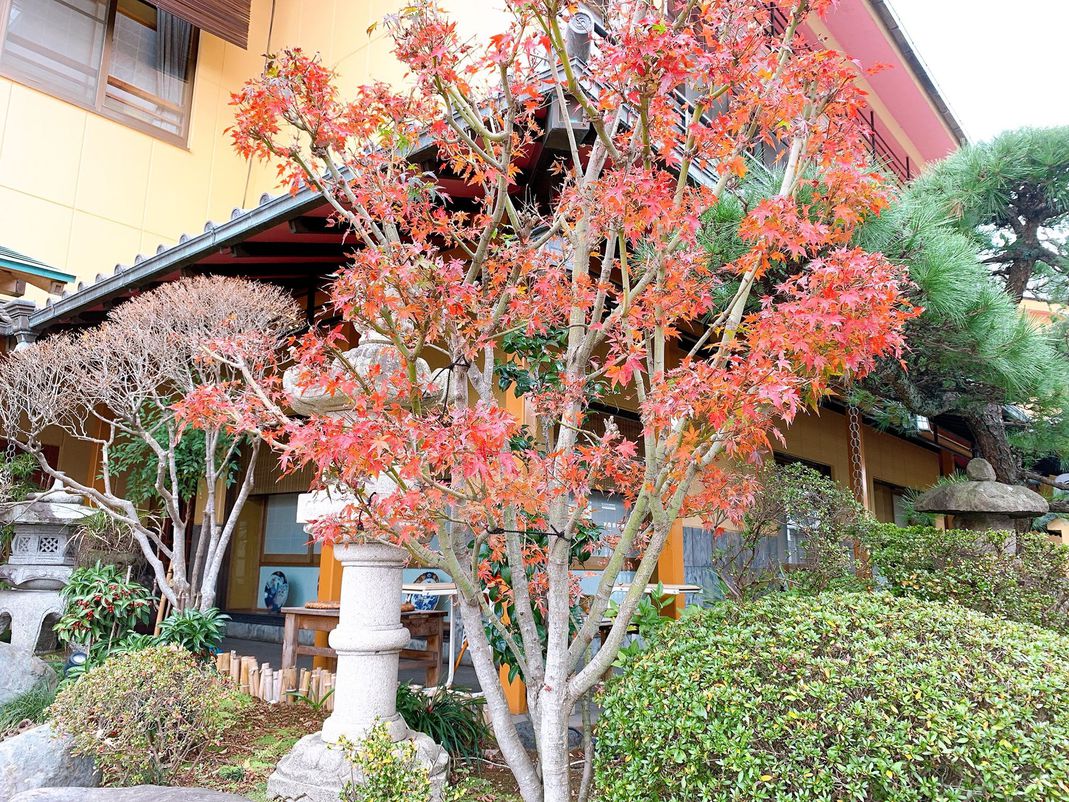 旅館入口付近（紅葉）