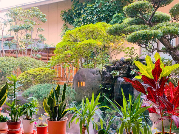 中庭
