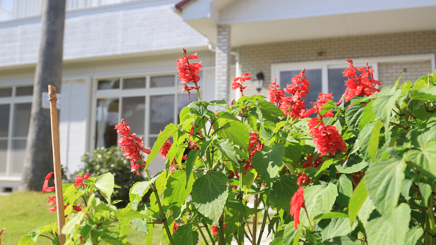 【施設】敷地内には年中様々な花が咲いております