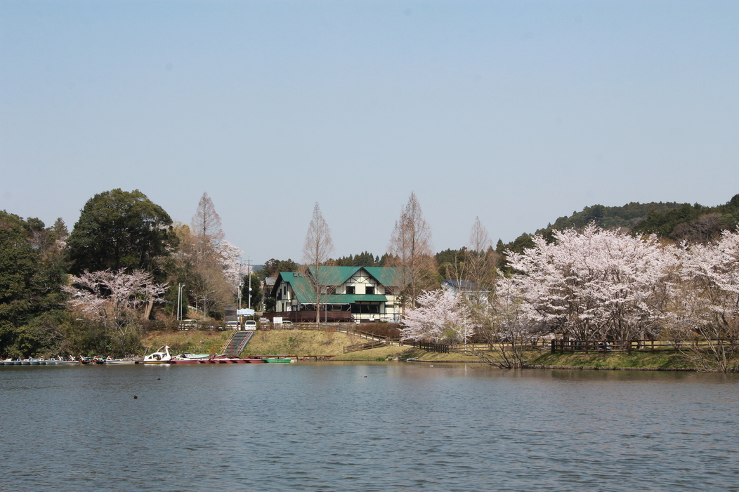 亀山湖からの宿・春