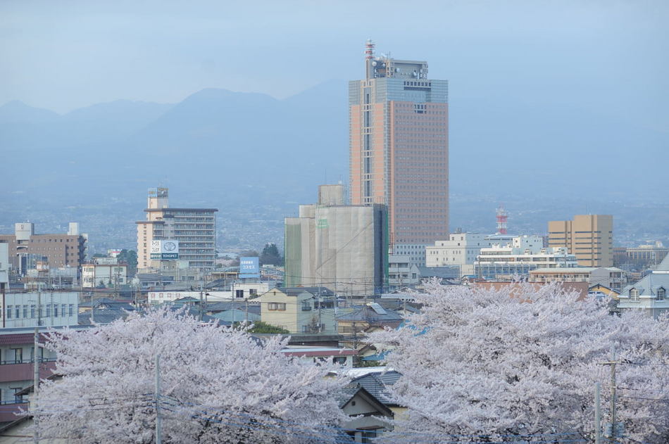 【ラシーネ館内からの風景】春、県庁が見えます。