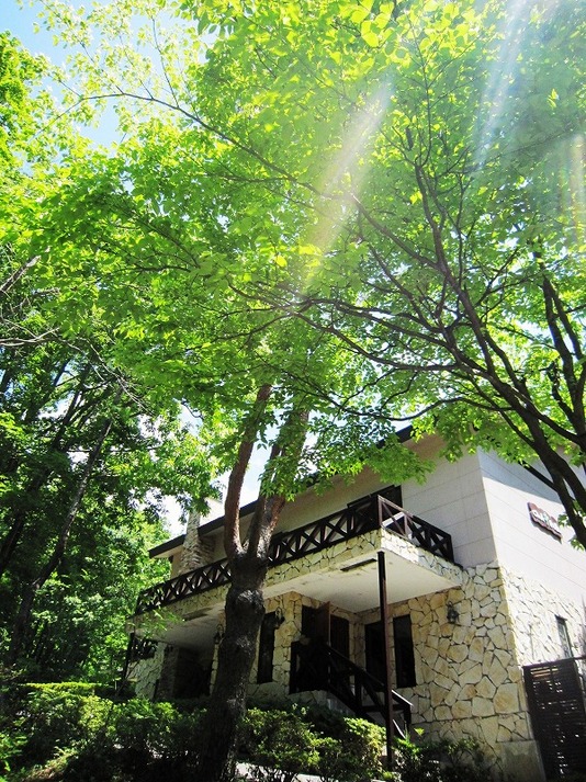 This photo about Mori no Cottage Kurumi no Ki shared on HyHotel.com
