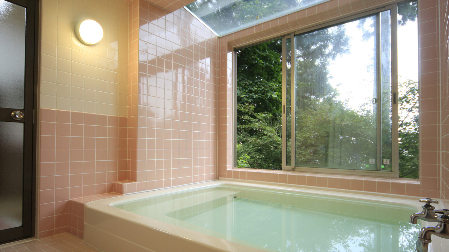 女風呂窓からは豊かな緑が安らぎを与え、まるで森林浴をしているかのようです