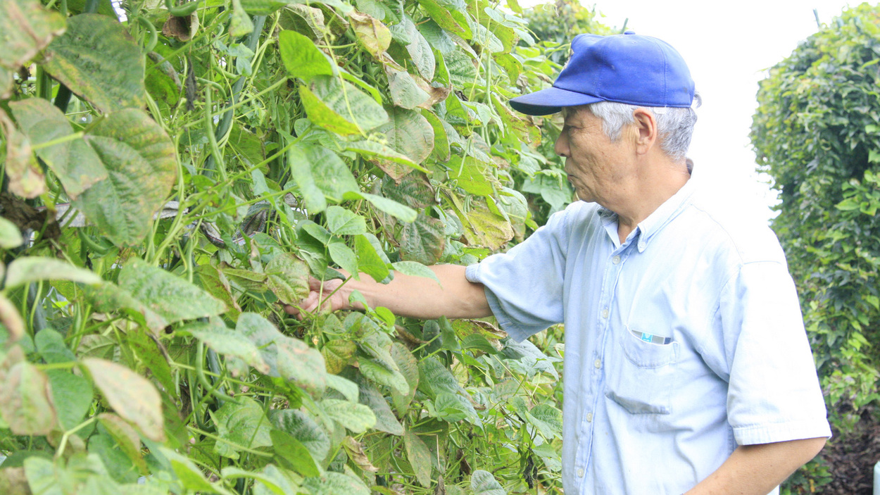 自家農園能保利で提供するお料理は、自家農園で育てた新鮮野菜をふんだんに使用しています