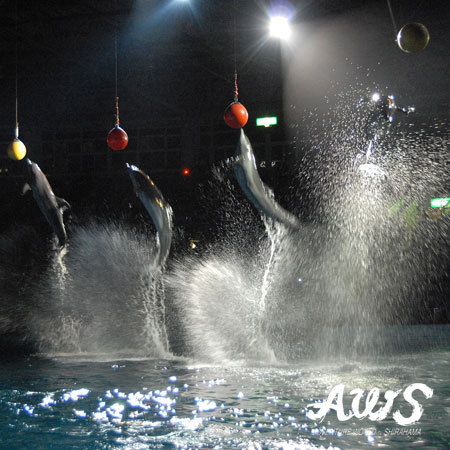 AWS・ナイトライブ