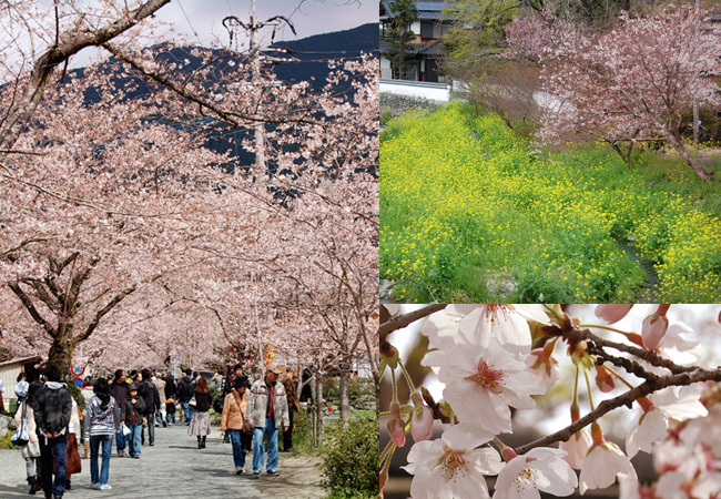 秋月古民家貸別荘　我道庵