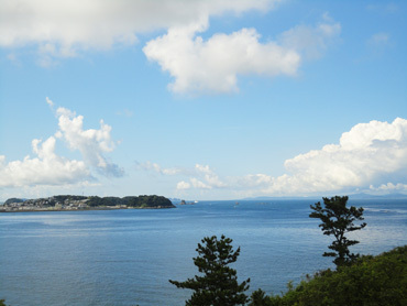 コントラストが美しい客室からの美景