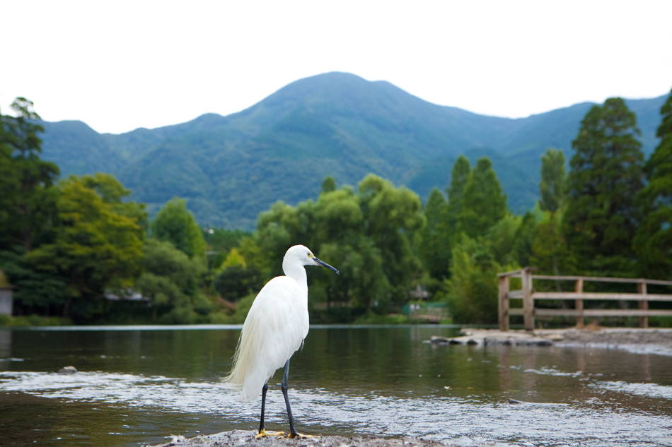 湯布院温泉　由布院ユウベルホテル