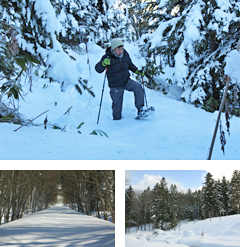 冬の「ノンノの森」をハイキング スノーシューで雪上トレッキング
