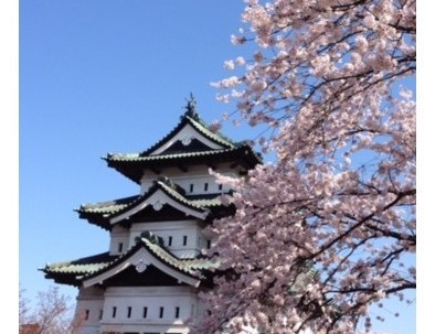 弘前城の桜まつり