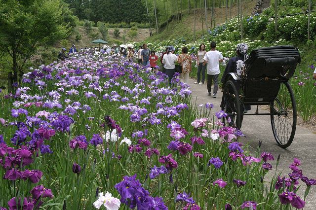 天子の水公園