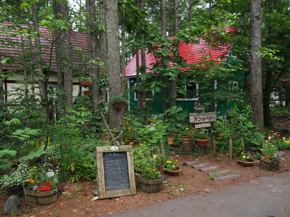 夏の宿全景