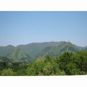 新緑に包まれた塩原の山々