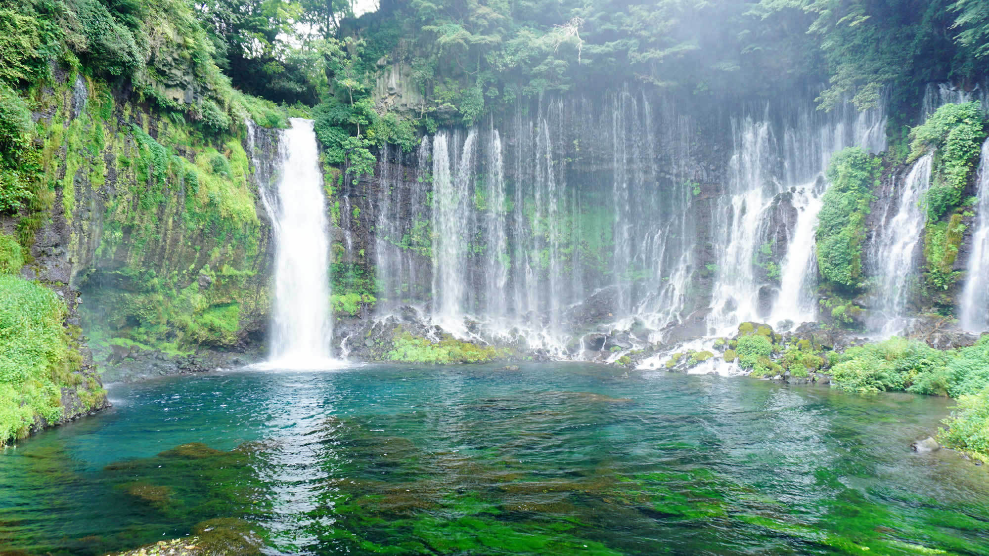 【白糸の滝】湾曲したフォルムが美しいと話題の観光スポット