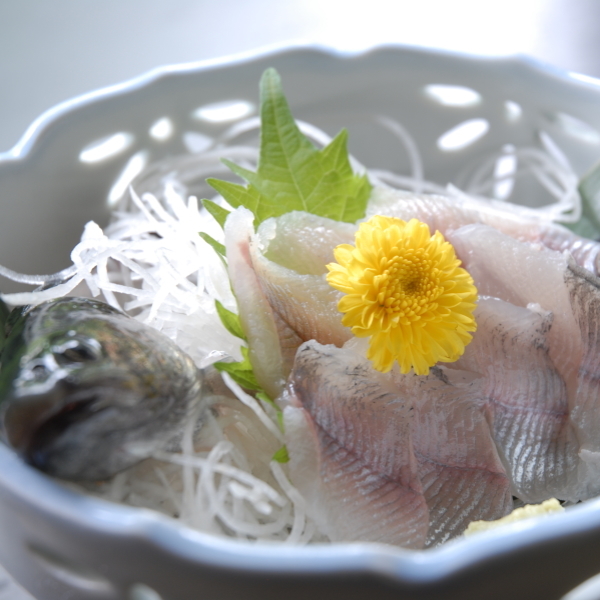 地の食材と四季の味 七沢温泉 盛楽苑の写真 フォトギャラリー His旅プロ 国内旅行ホテル最安値予約