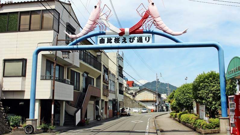 *周辺案内（由比桜えび通り）／由比名物の「桜えび」を扱うお店が並んでいます。