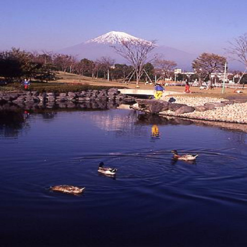 富士中央公園
