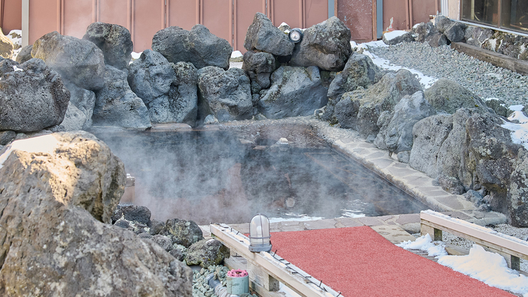 大自然阿蘇健康の森【阿蘇健康火山温泉】露天エリア岩風呂