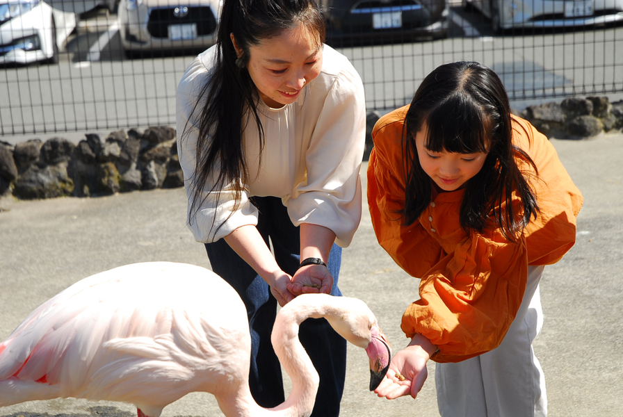 ふれあい動物王国イメージ