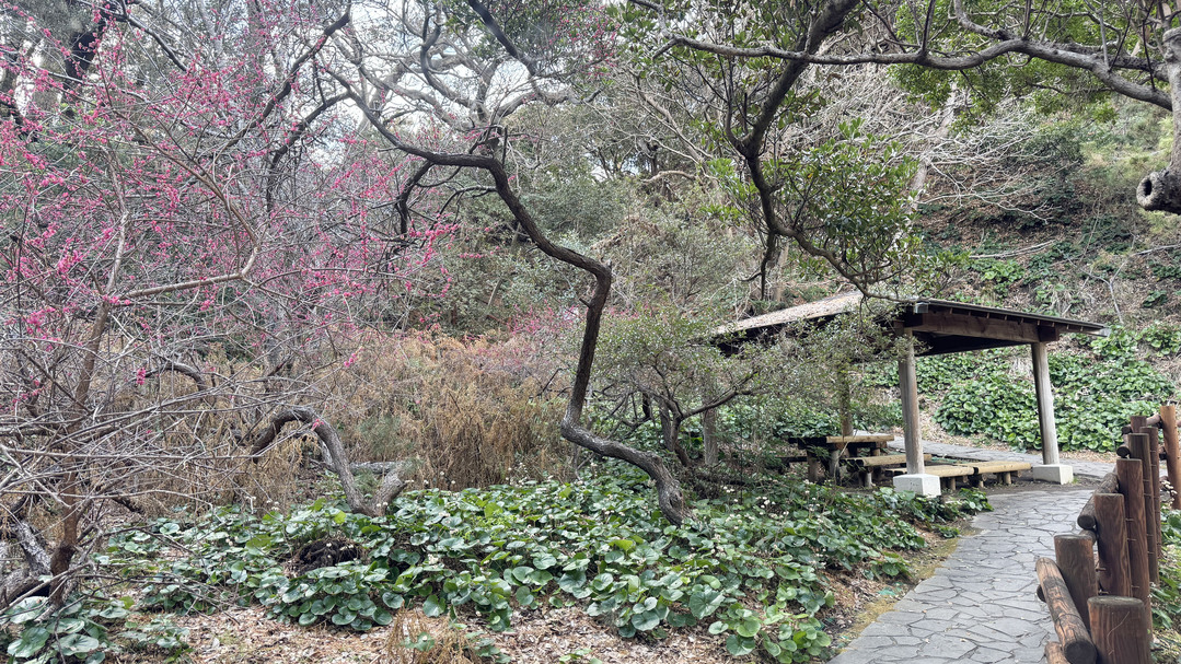 堂ヶ島サンセットイルミ登山道