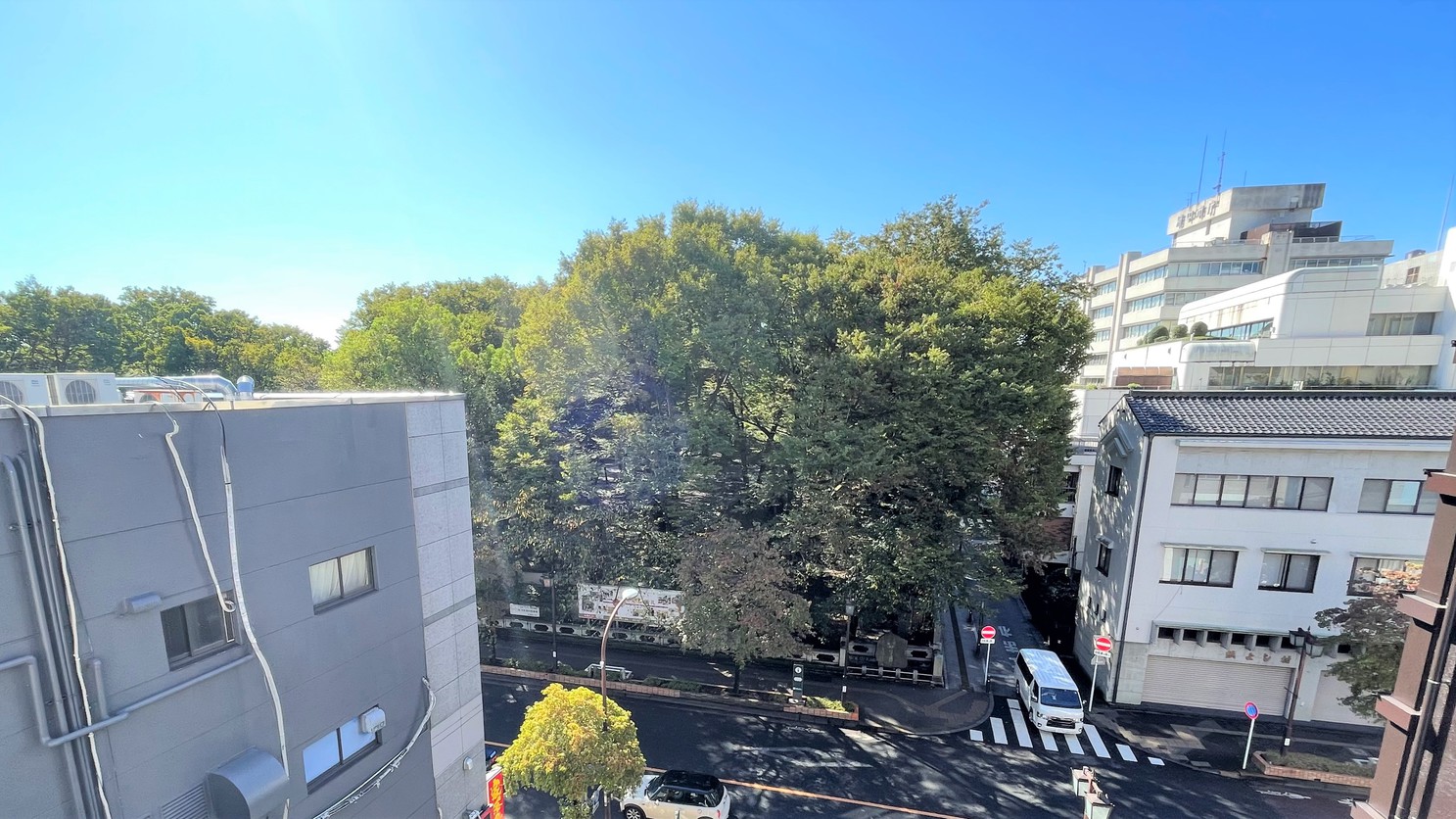 客室からの景色（正面 神社）