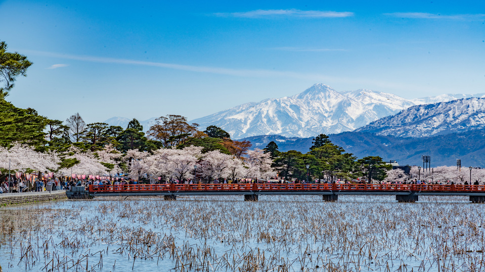 高田城址公園観桜会