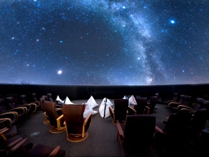 おすすめプラン