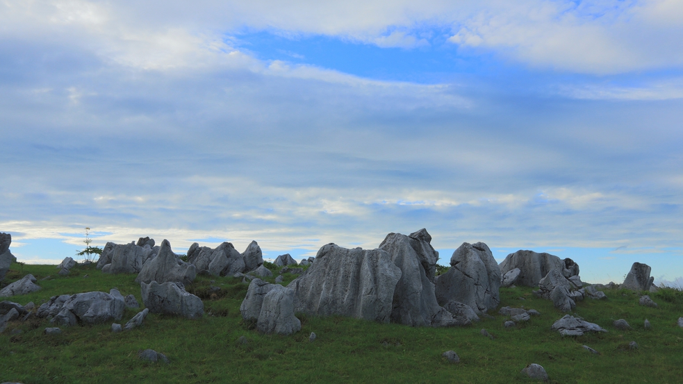 *四国カルストは起伏の大きなカルスト台地として知られ、隆起した石灰岩柱の雄大さを楽しめます。