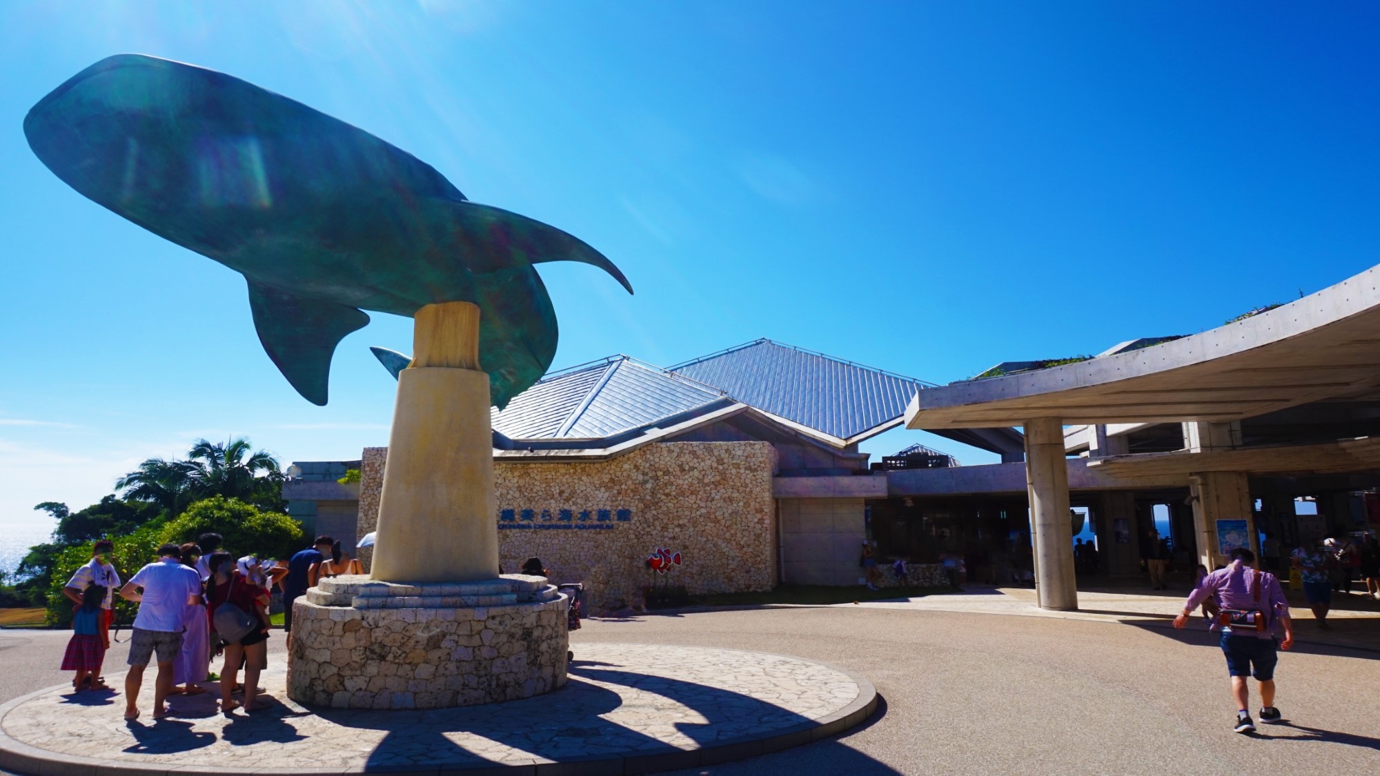 【美ら海水族館】当館より車で約２時間