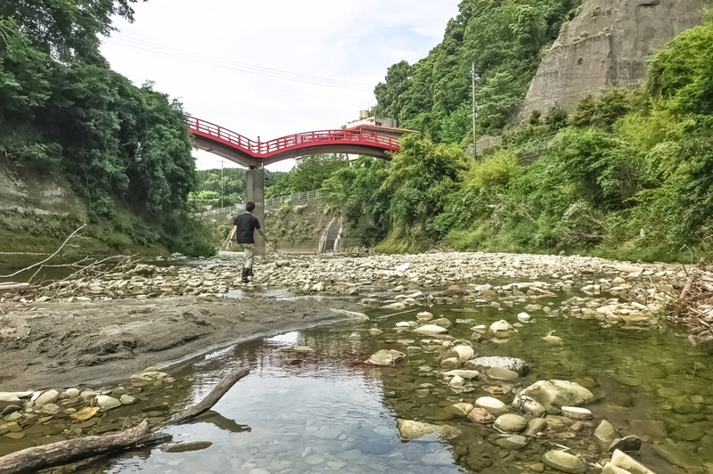 養老川の浅瀬一例