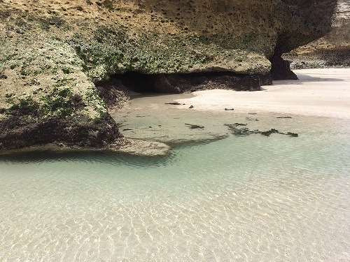 白浜海岸