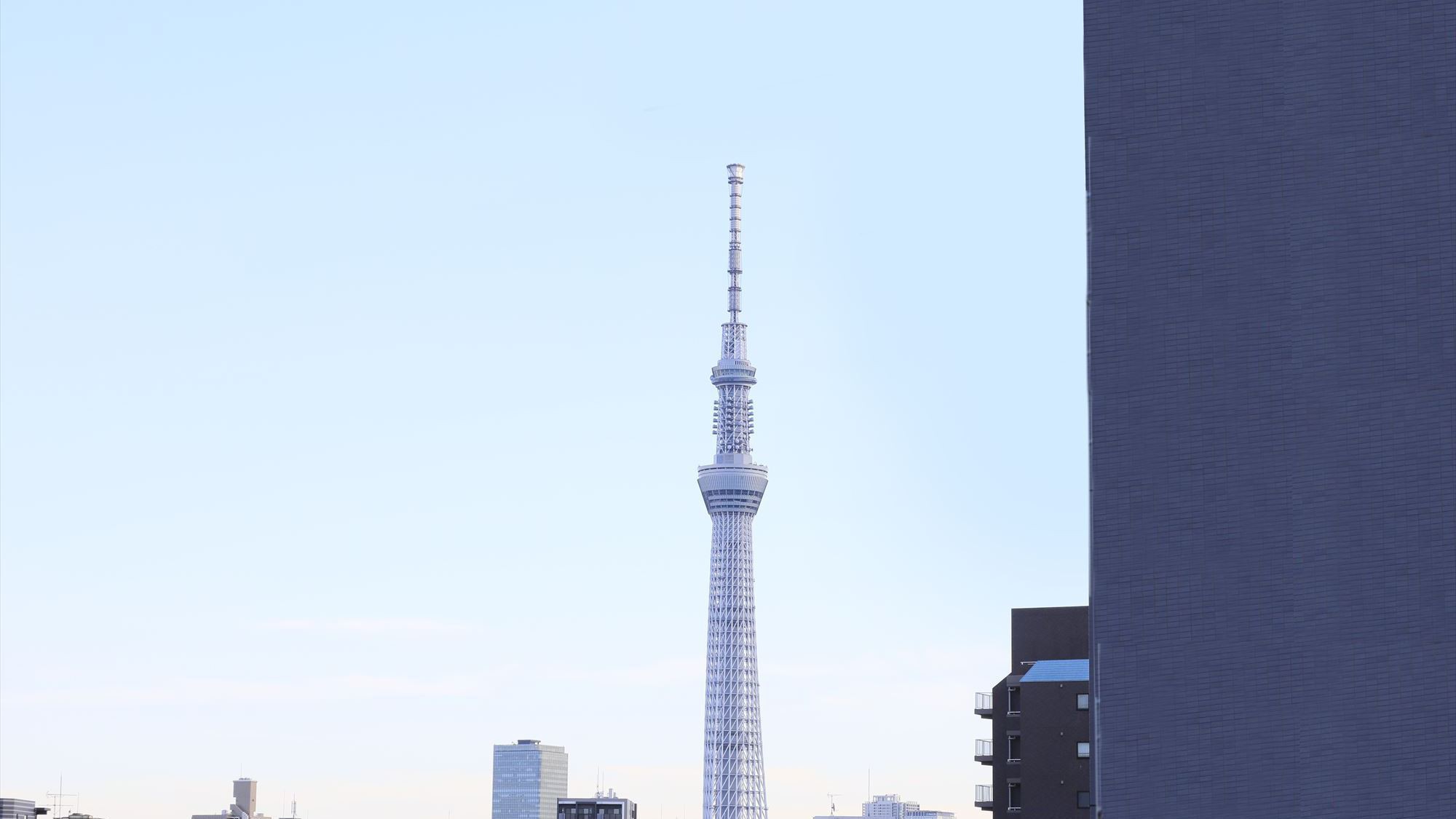 【スカイテラス】屋上からは東京スカイツリーをご覧いただけます