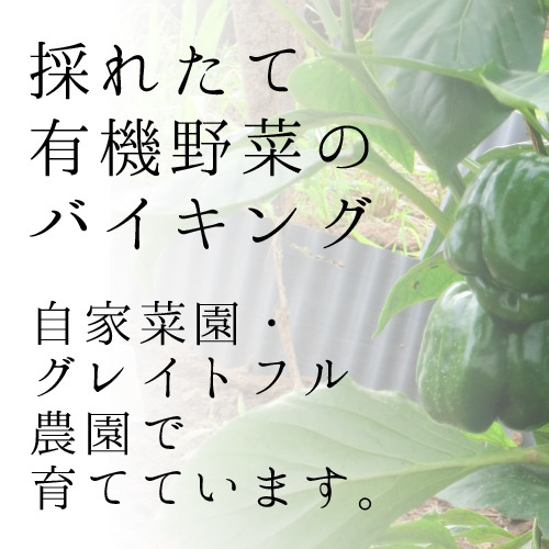 *当ホテルが有機野菜を育てている「グレイトフル農園」