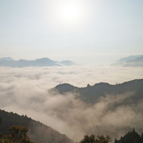 ＜雲海＞天候に恵まれたらぜひ見て頂きたい絶景。幻想的な世界が広がります。