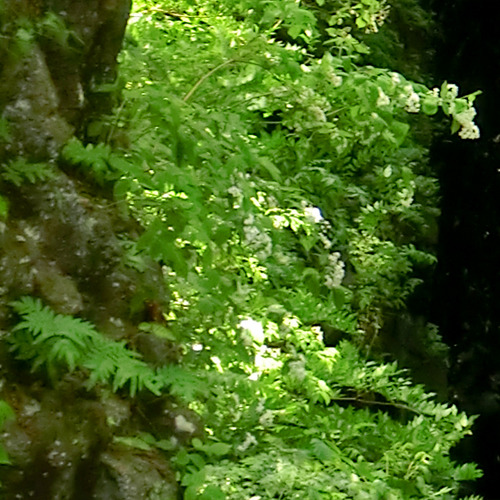 ＜高千穂峡＞神秘的な景色は、パワースポットとしても人気です。