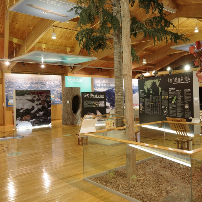 周辺景観知床世界遺産センターではヒグマやエゾシカなどの実物大の写真やヒグマの爪痕などの模型を展示