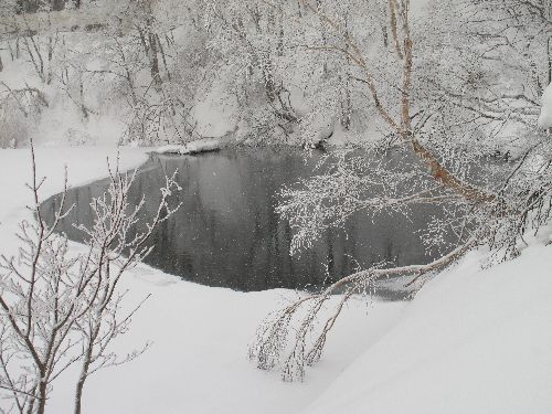 冬景色