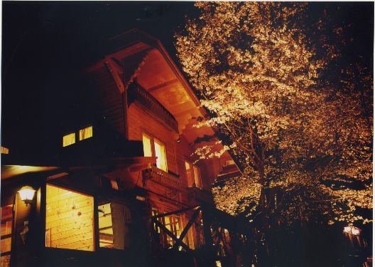 外観（夜桜）