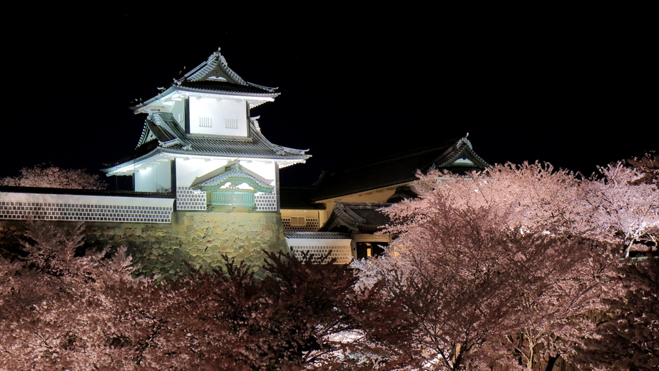 桜の名所金沢城、兼六園。美しい春の風物詩をお楽しみください。