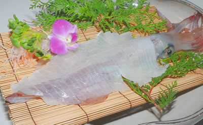 イカの活き造り