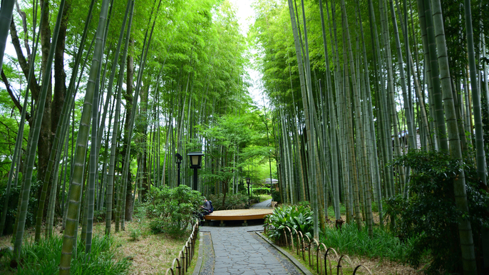 修善寺 竹林の小径当館から徒歩7分