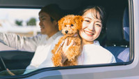 【直前割｜ペット可】28日前から予約で1000円引き！■季節の美味お得会席　1泊2食■