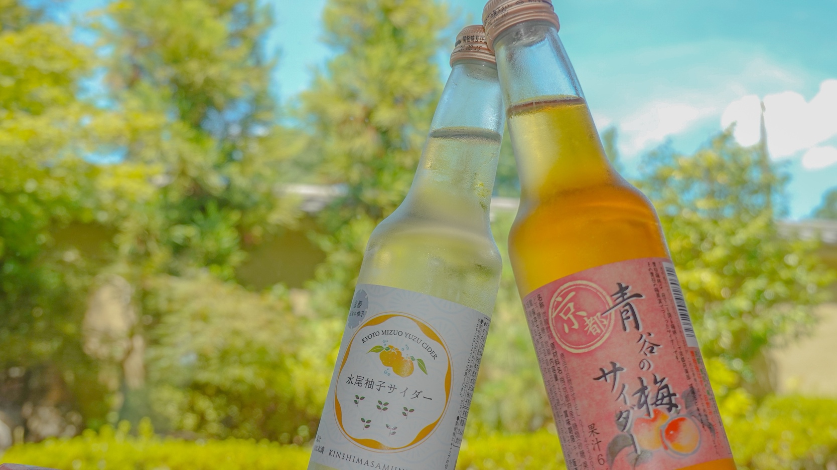 【夕食】水尾の柚子サイダー・青谷の梅サイダー
